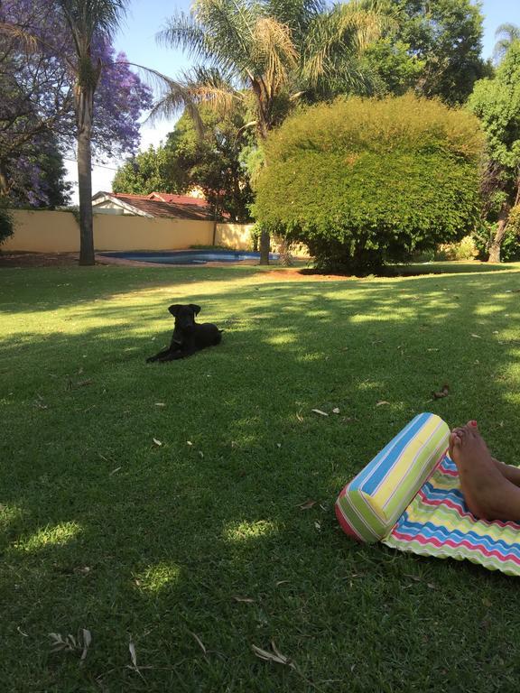 Khuvena Guesthouse Randburg 外观 照片